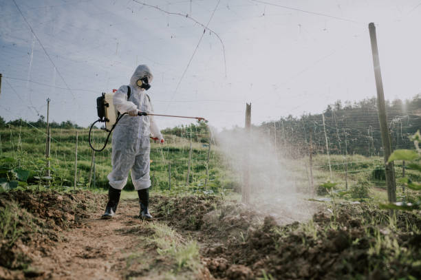 Best Commercial Pest Control Services  in Las Quintas Fronterizas, TX