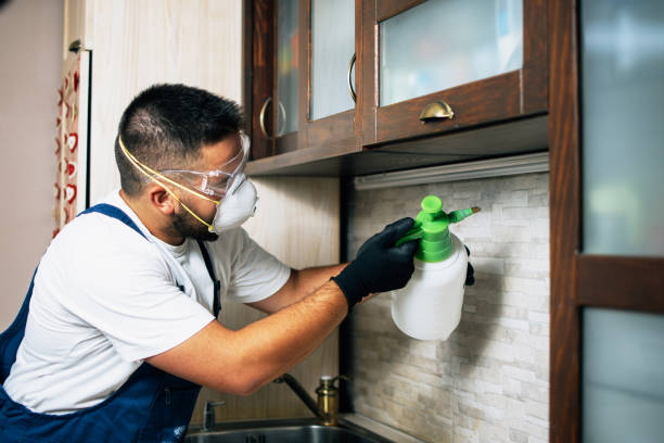 Best Best Pest Control Companies  in Las Quintas Fronterizas, TX