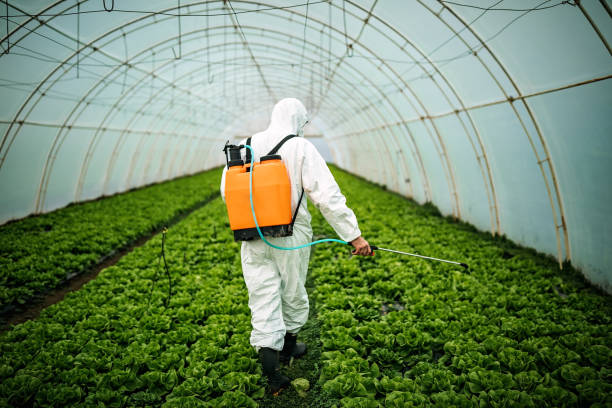 Best Best Pest Control Companies  in Las Quintas Fronterizas, TX