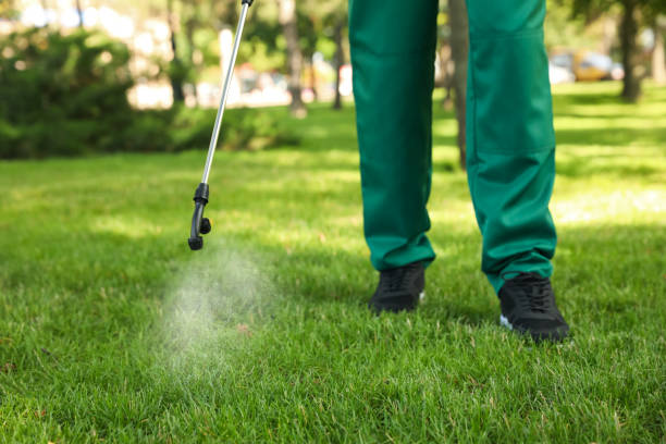 Las Quintas Fronterizas, TX Pest Control Company