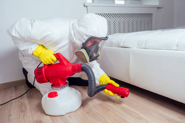 Best Pest Removal Services  in Las Quintas Fronterizas, TX