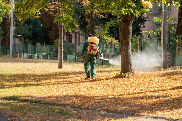 Best Wasp Removal Services  in Las Quintas Fronterizas, TX