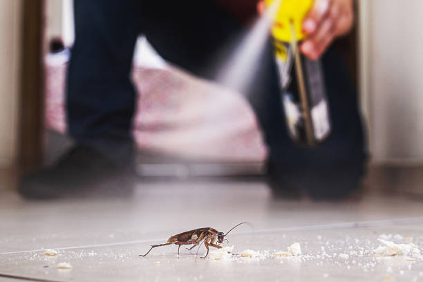 Best Wildlife Control Services  in Las Quintas Fronterizas, TX