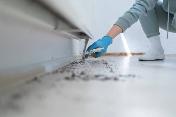Best Exterminator Services  in Las Quintas Fronterizas, TX